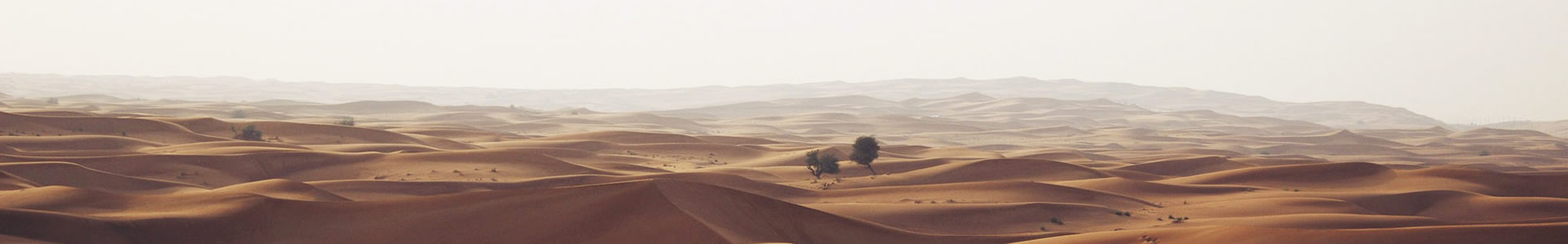 ݽȪƼ޹˾